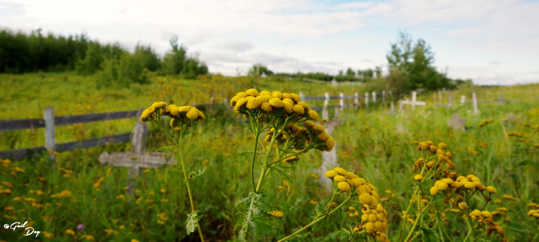 Abandoned church in her village