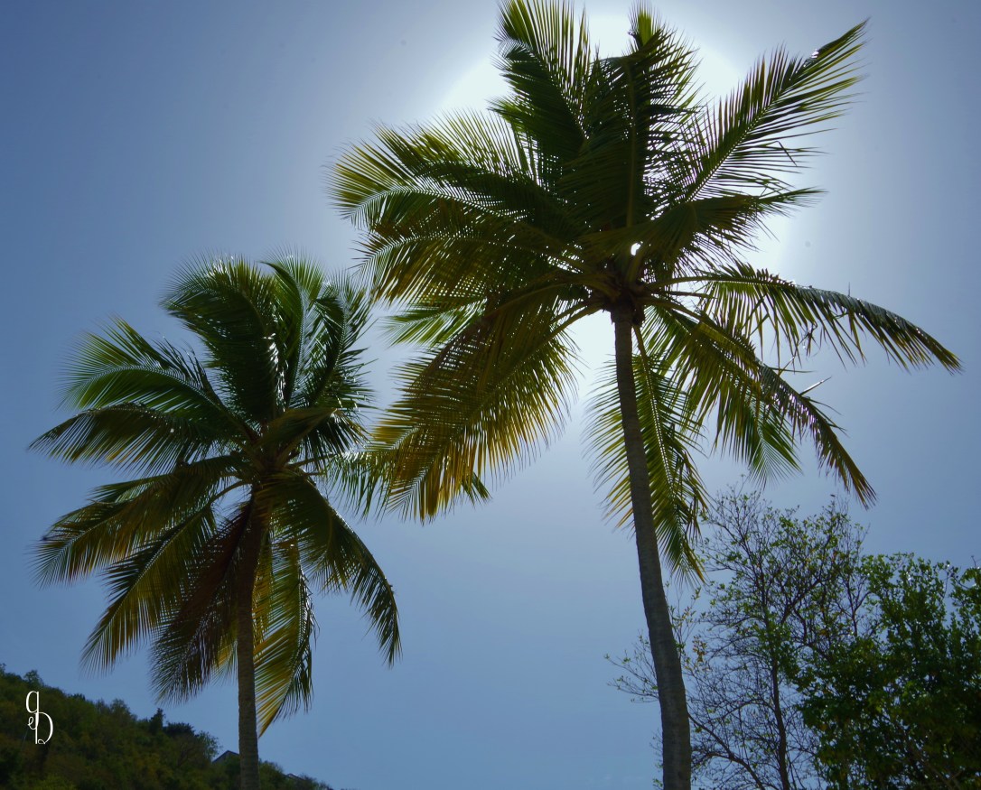 Magen's Bay, St. Thoma's