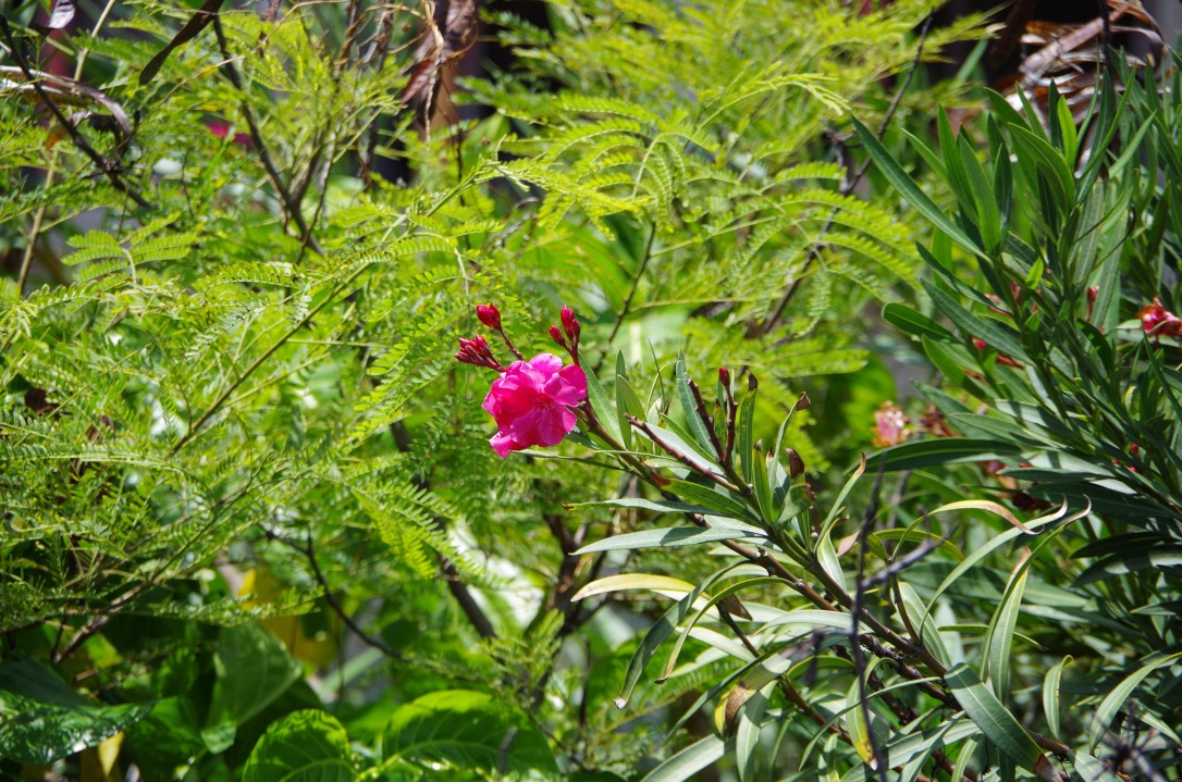 Somewhere in the Bahamas