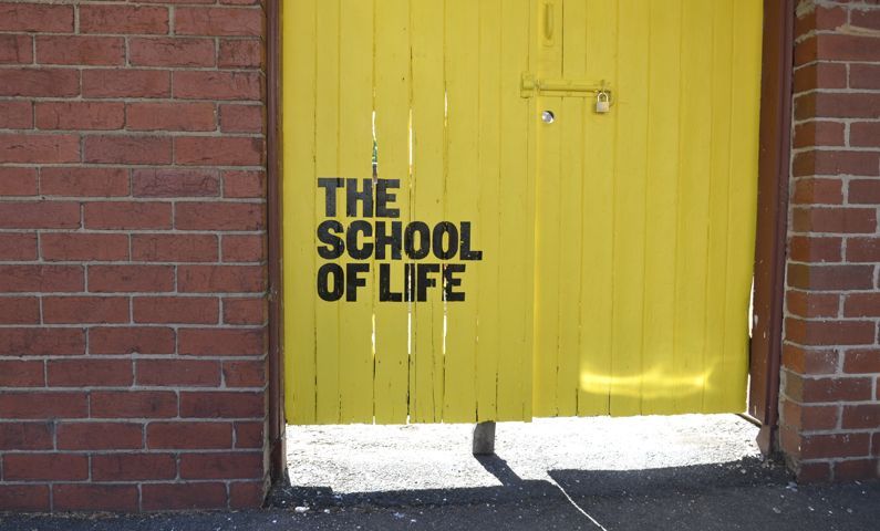 3tstray390TheSchoolofLife14